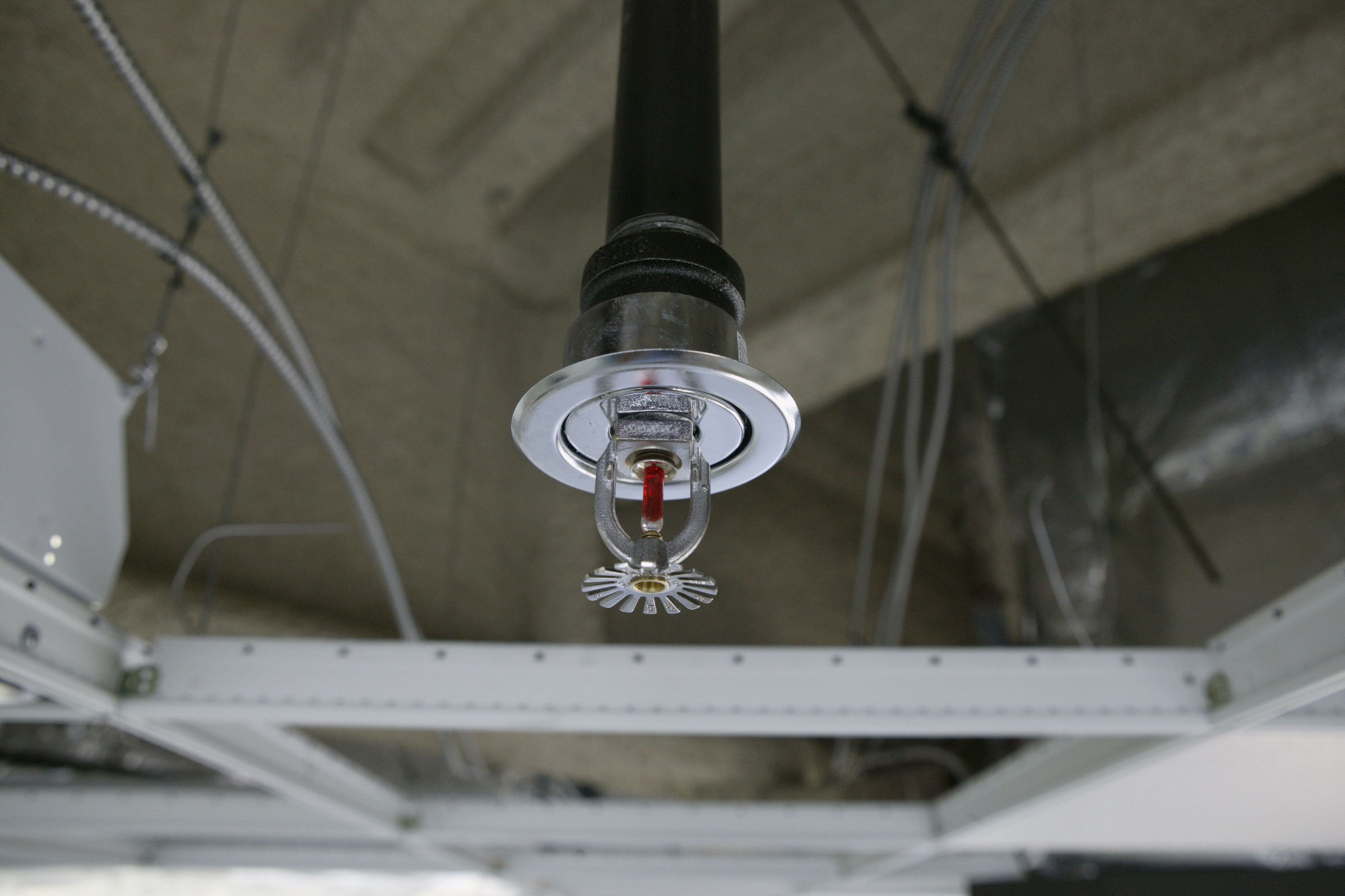 Closeup of a fire sprinkler