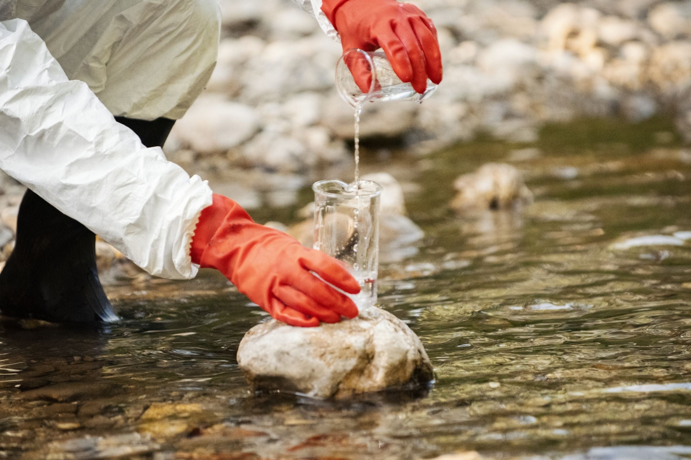 Scientist examining toxic water samples.