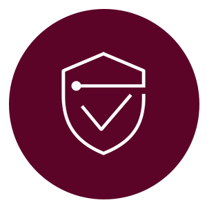 Icon of a shield with a checkmark