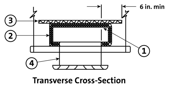 system b longitudinal cross section