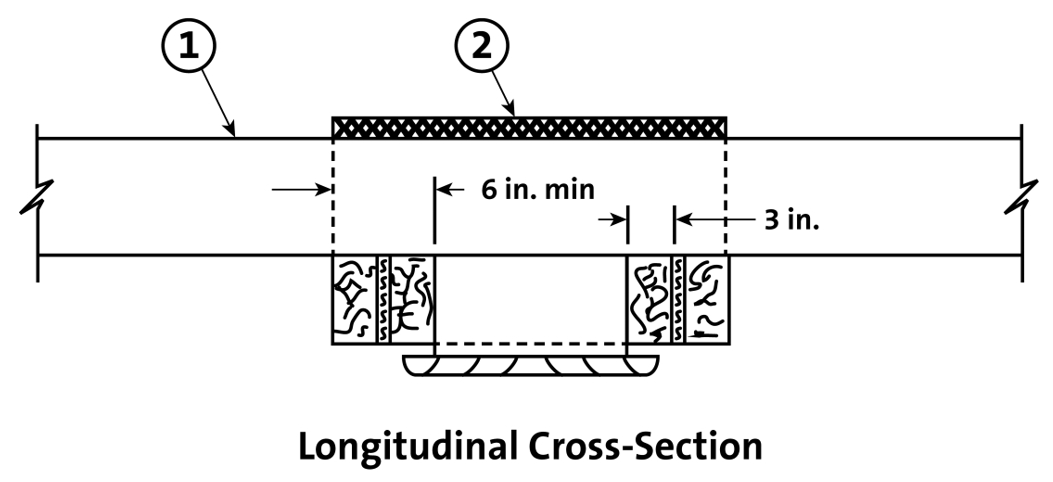 system b longitudinal cross section