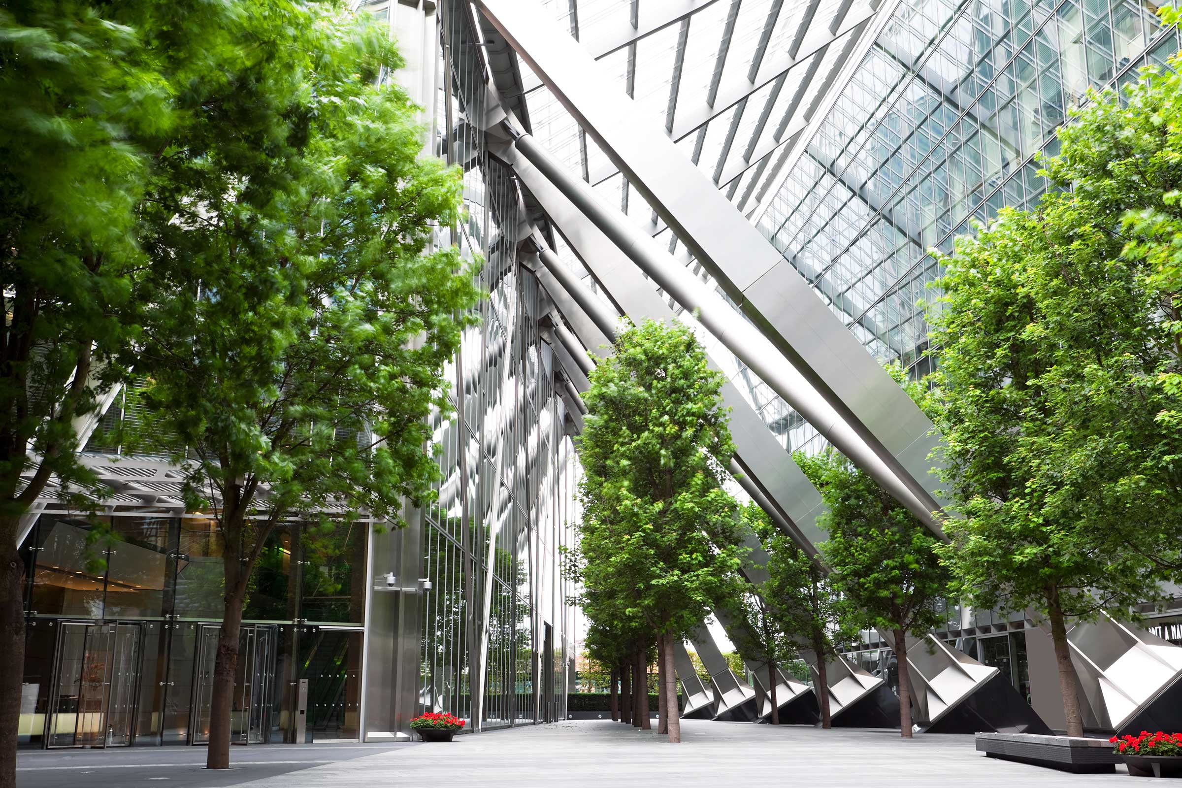 Trees growing inside a modern office building