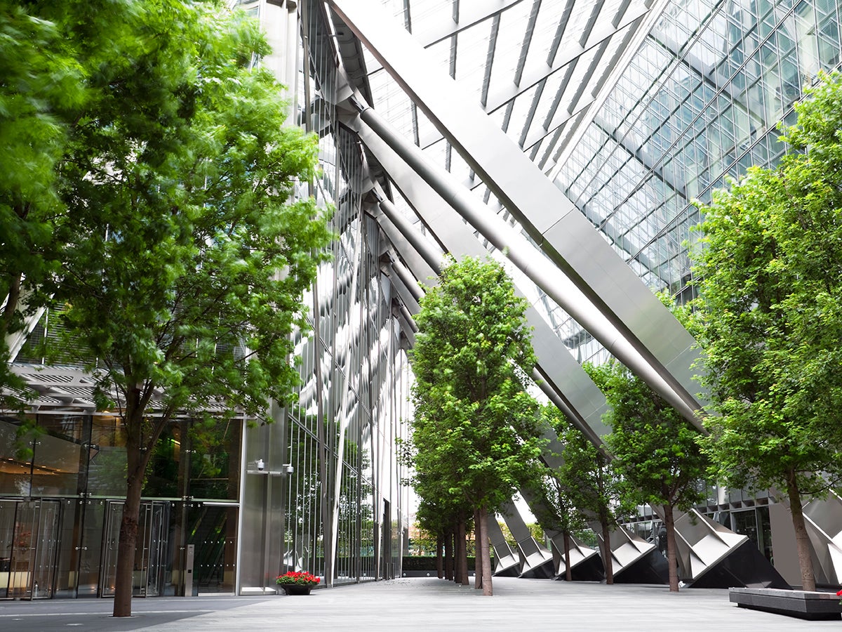 building interior with trees in it