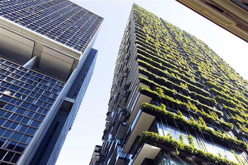 buildings with hanging garden