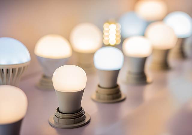 Different colors and shapes of lightbulbs on display