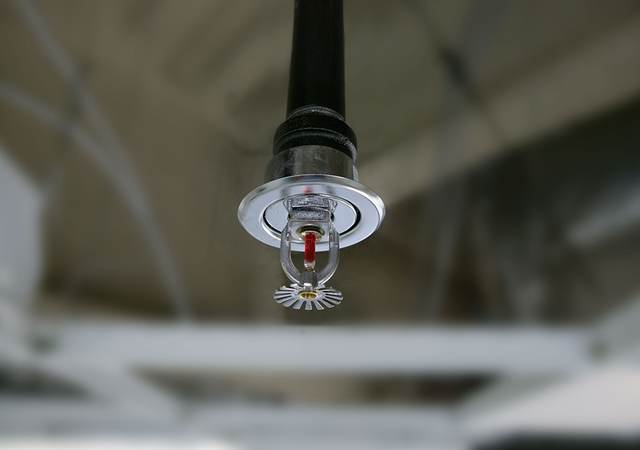 Fire sprinkler head