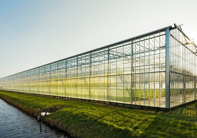 A greenhouse surrounded by green grass sits near the edge of the water on a clear day 