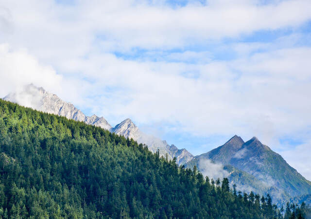 Photo of trees in foreground and mountains in the background