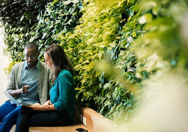 Businessman and woman sitting in front of green plant wall, using laptop