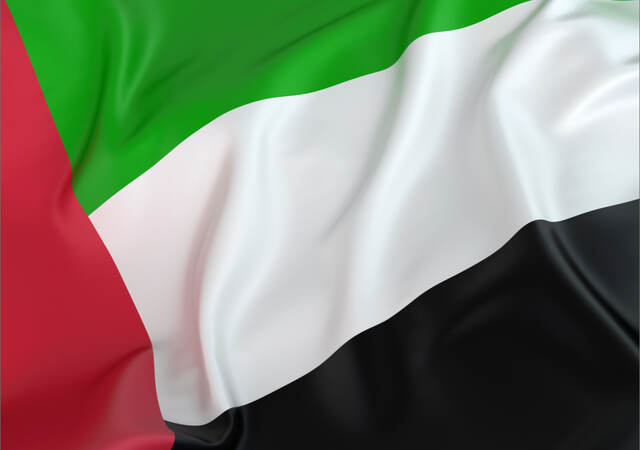 UAE flag