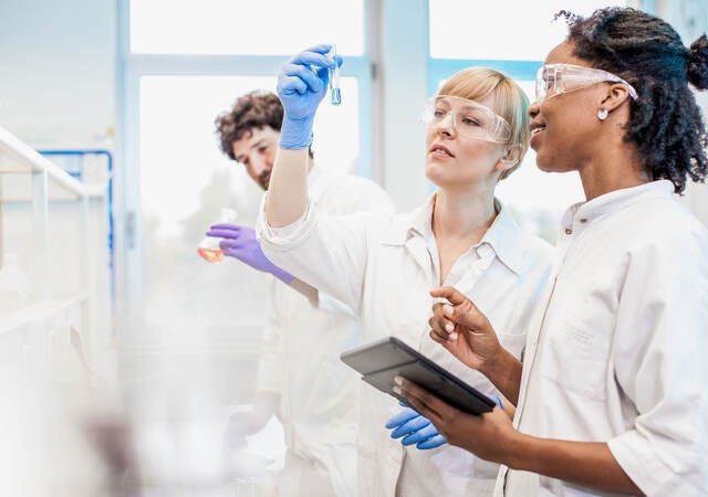 Scientists working in a laboratory