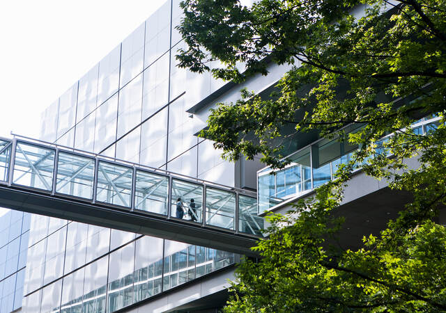 An office building and greenery