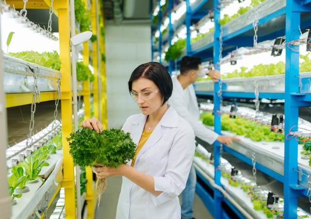 Techs measure plant growth, lit by a horticultural lighting system 