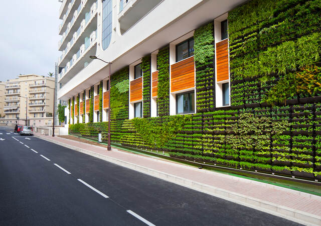 Building with garden vertical garden growing on wall