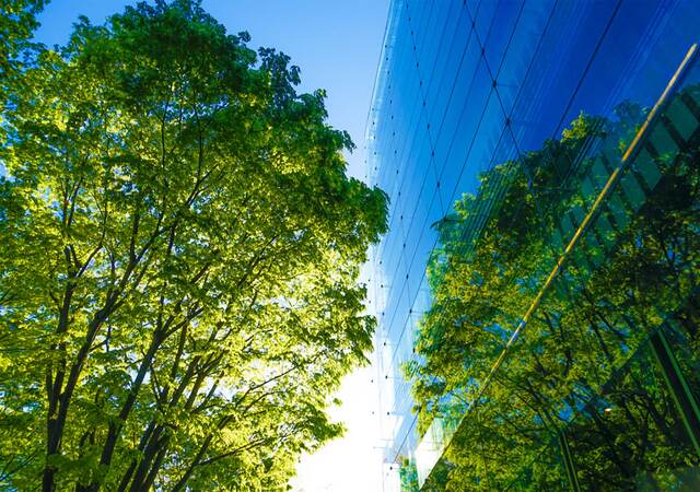 blue glass office building windows exterior with view of sky and trees