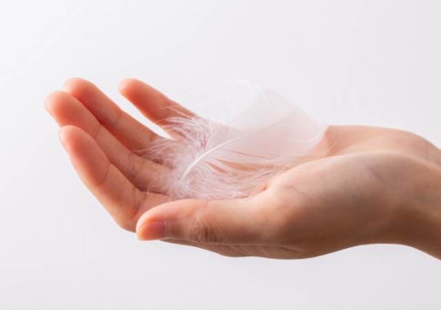 White feather on a woman hand