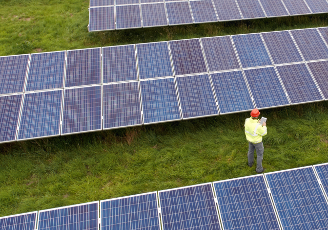 Employee inspecting solar panels