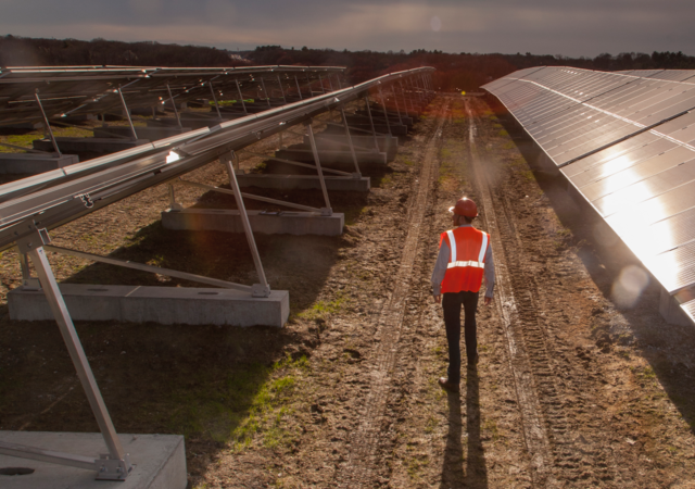 Employee inspecting solar panels