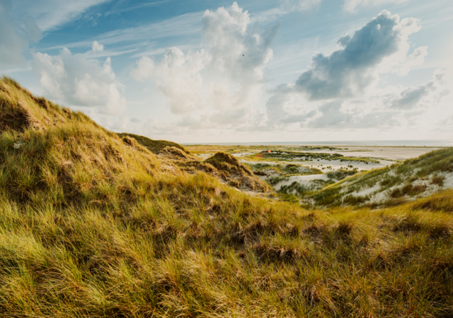 Grassy sand dune on a cloudy day