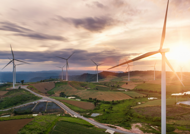 Field with wind turbines