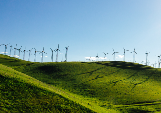 Wind turbine farm