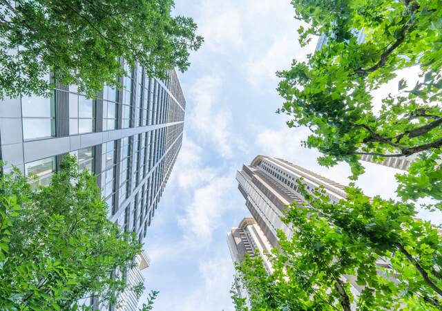 Bottom view looking up through buildings and trees