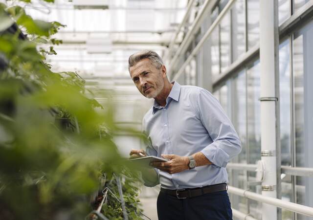 A horticultural professional with a digital tablet analyzes plants in a greenhouse.