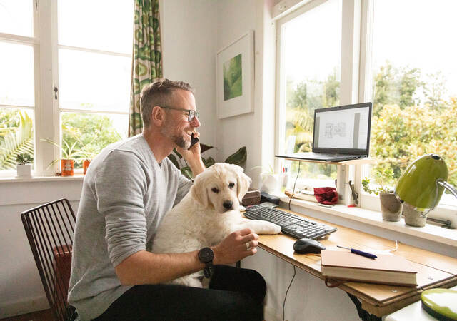 Person smiling and working from home with cute yellow puppy on their knee