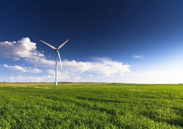 Wind turbines in a field