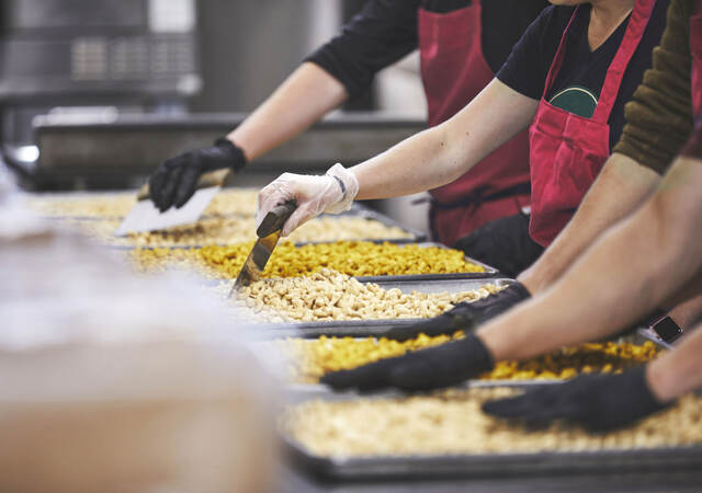 Workers examining cashews