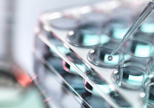 Pipetting sample into multiwell tray.