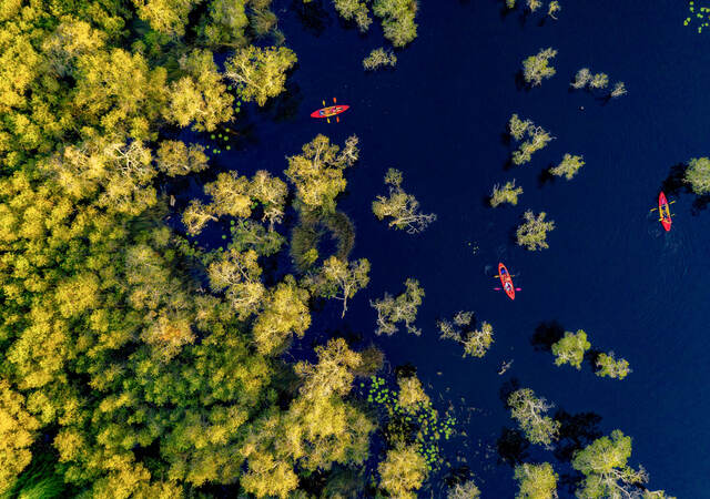 Tourists enjoying kayaking in nature 