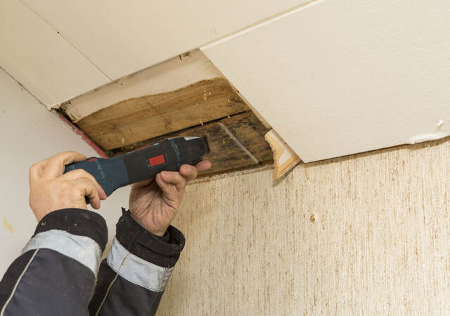 A person taking a mold sample