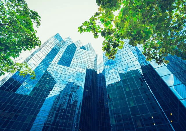 Upward view of trees against glass skyscrapers