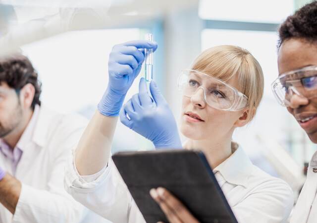 Scientists working in the laboratory.