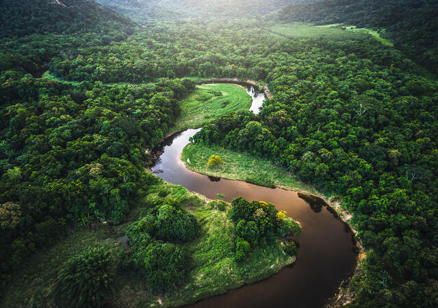 Atlantic Forest in Brazil