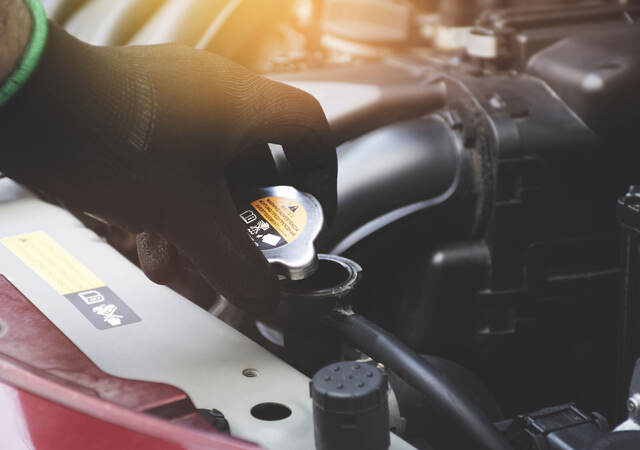 Mechanic checking radiator fluid