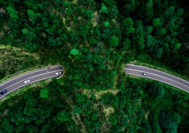 Aerial view of green bridge corridor for wildlife to cross highway safely.