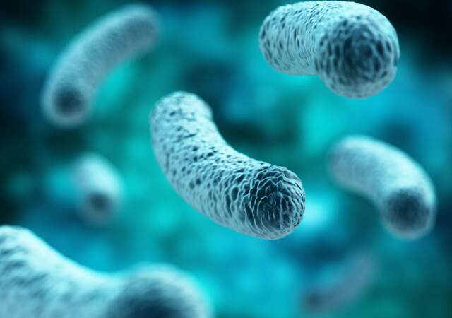 Image of legionella.