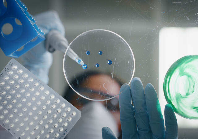 A scientist using a pipette to drop blue liquid in a petri dish