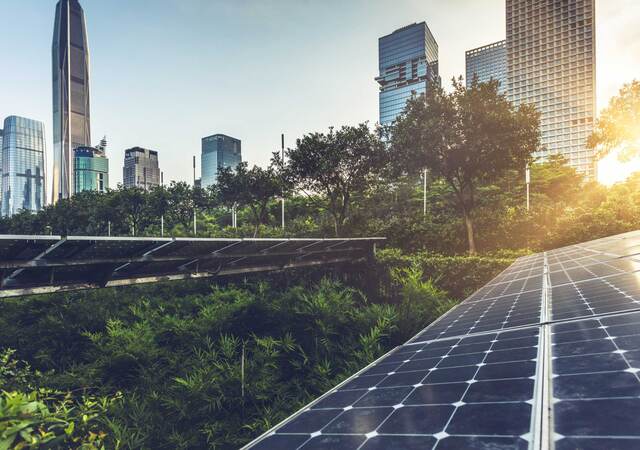 Closeup of solar panels above a forest next to a line of skyscrapers