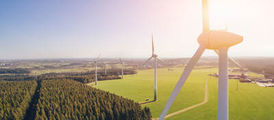 Wind turbines in a field near trees on a sunny day