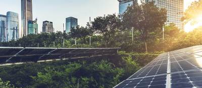 Closeup of solar panels above a forest next to a line of skyscrapers