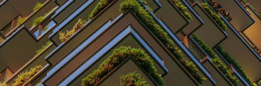 Green plants on balconies of a high rise building