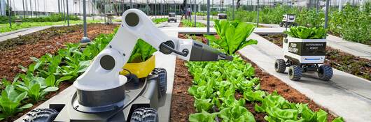 Robotic arms on wheels tend to a greenhouse garden