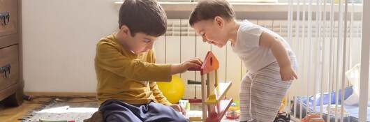 Siblings playing with toys