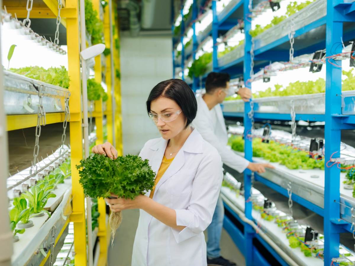 LED Lighting for Cultivation, Supermarkets and Industry