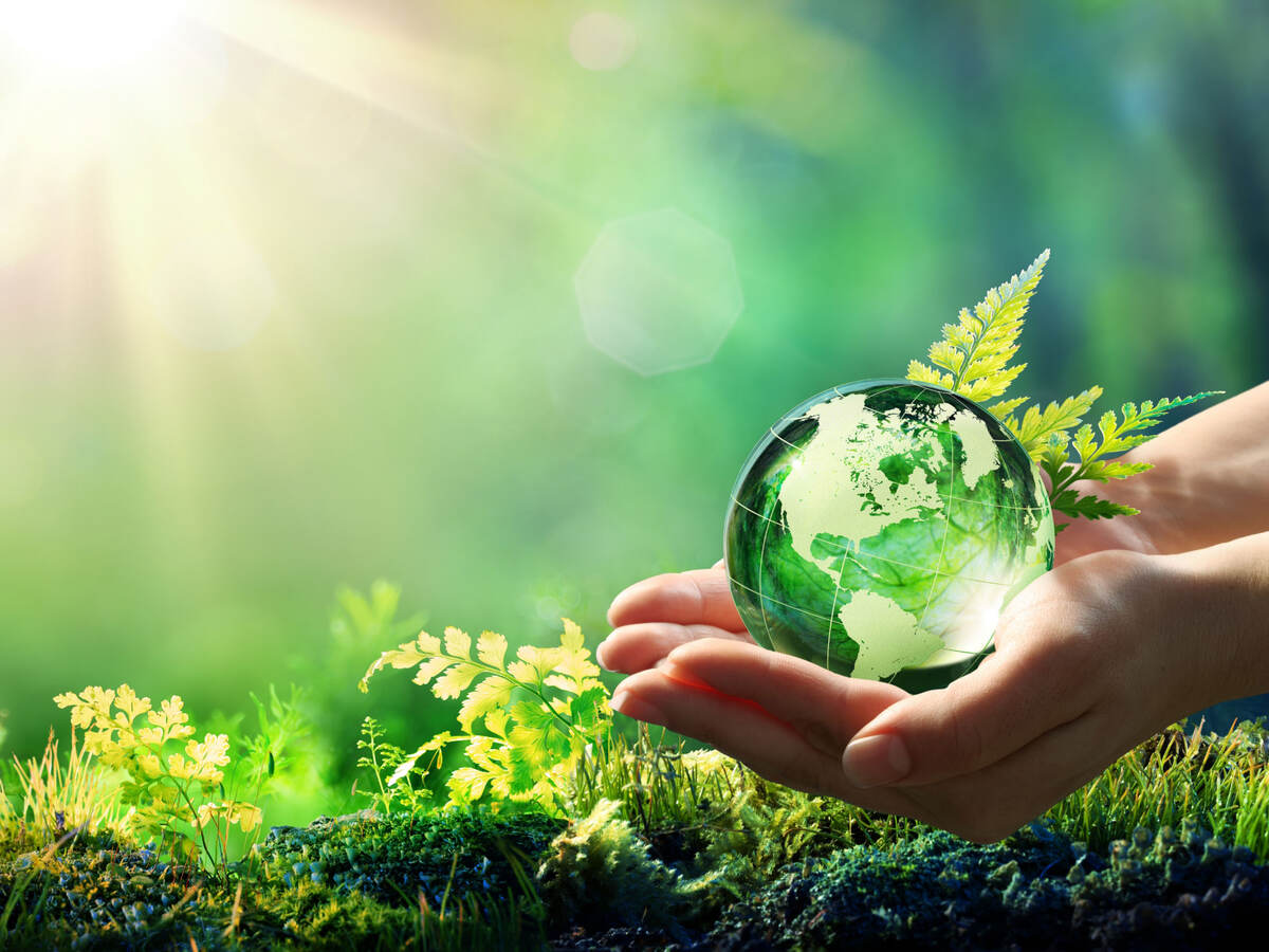 Hands holding a crystal globe surrounded by ferns in the sunlight