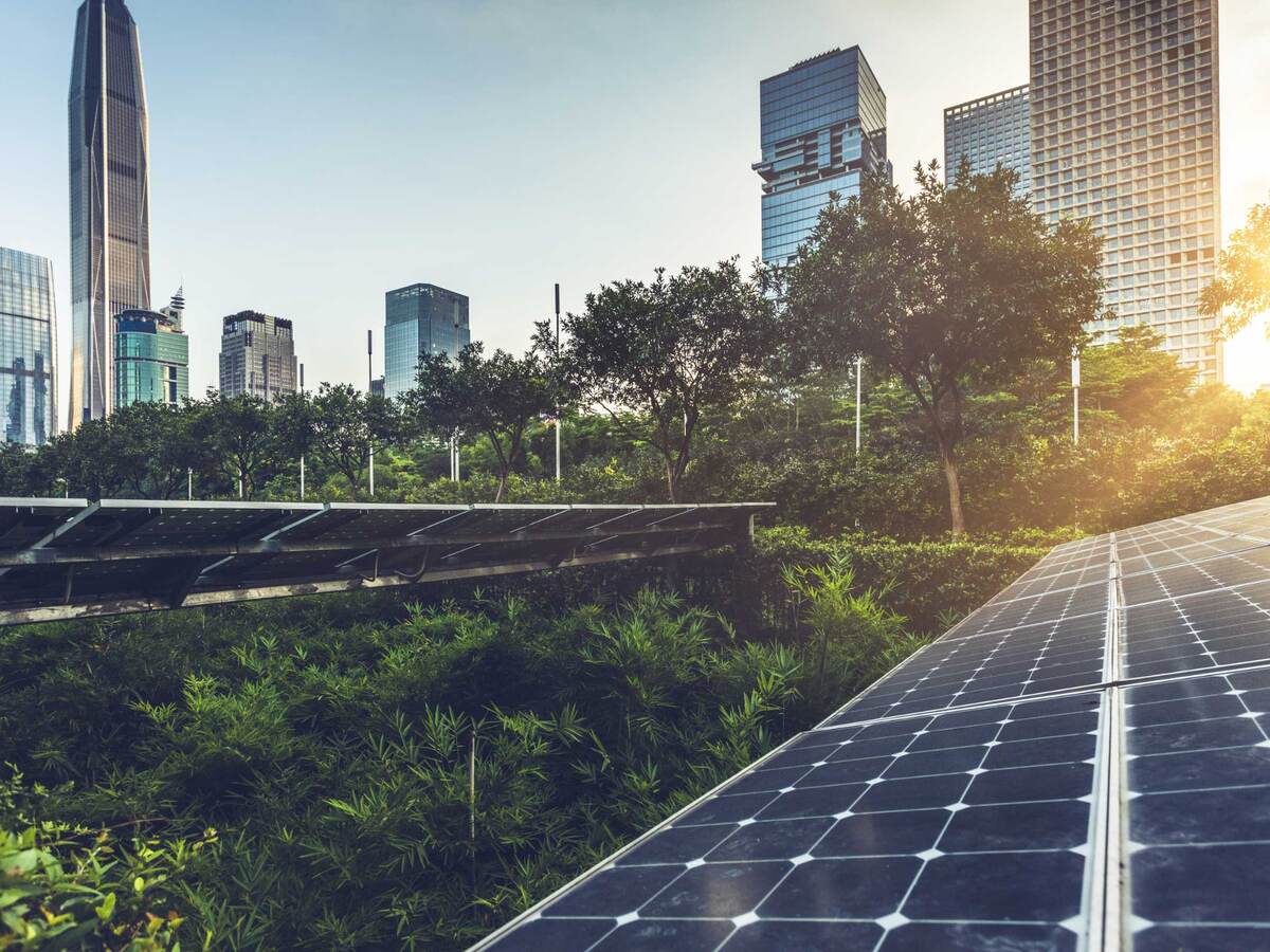 Closeup of solar panels above a forest next to a line of skyscrapers