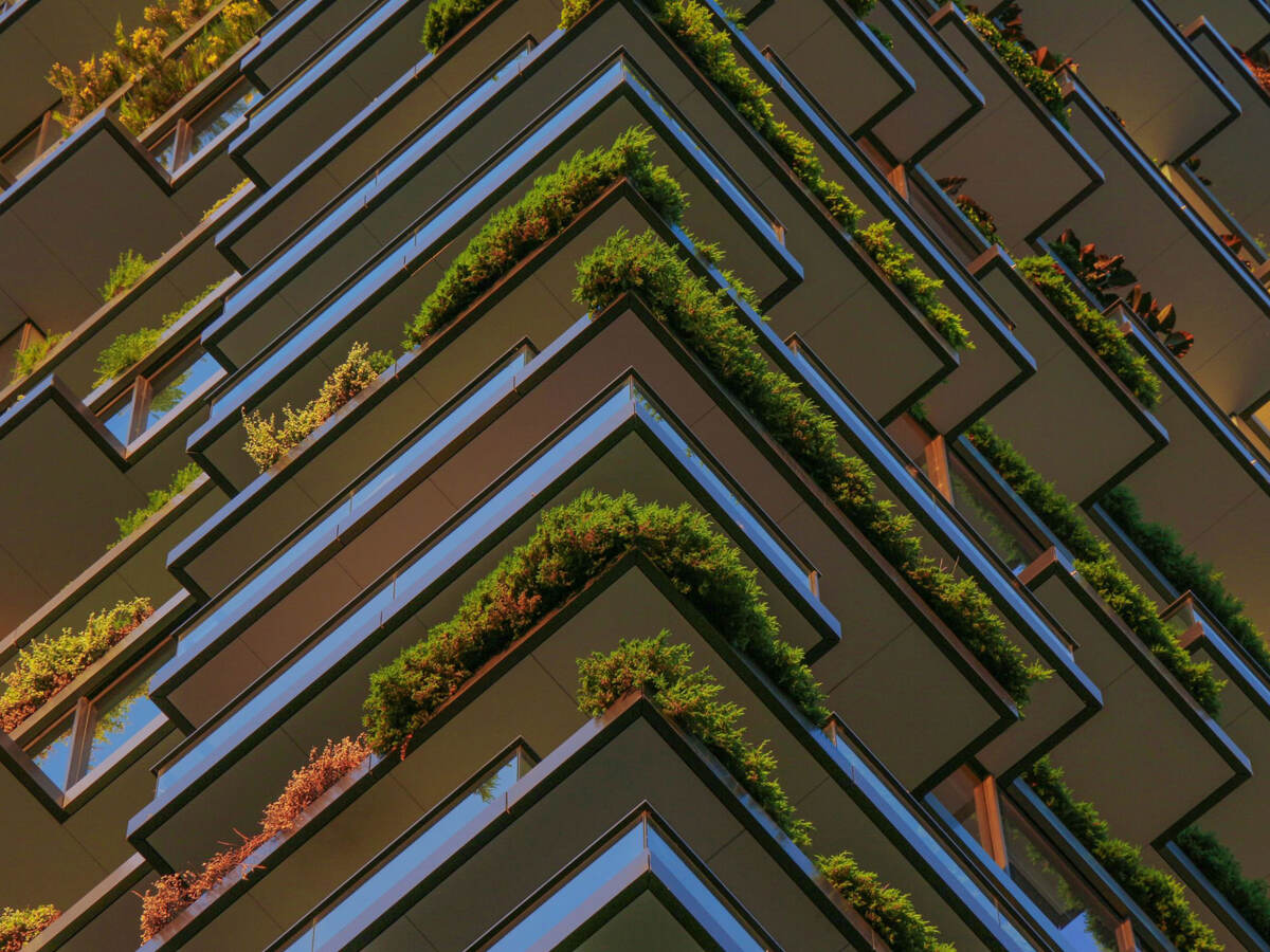 Green plants on balconies of a high rise building